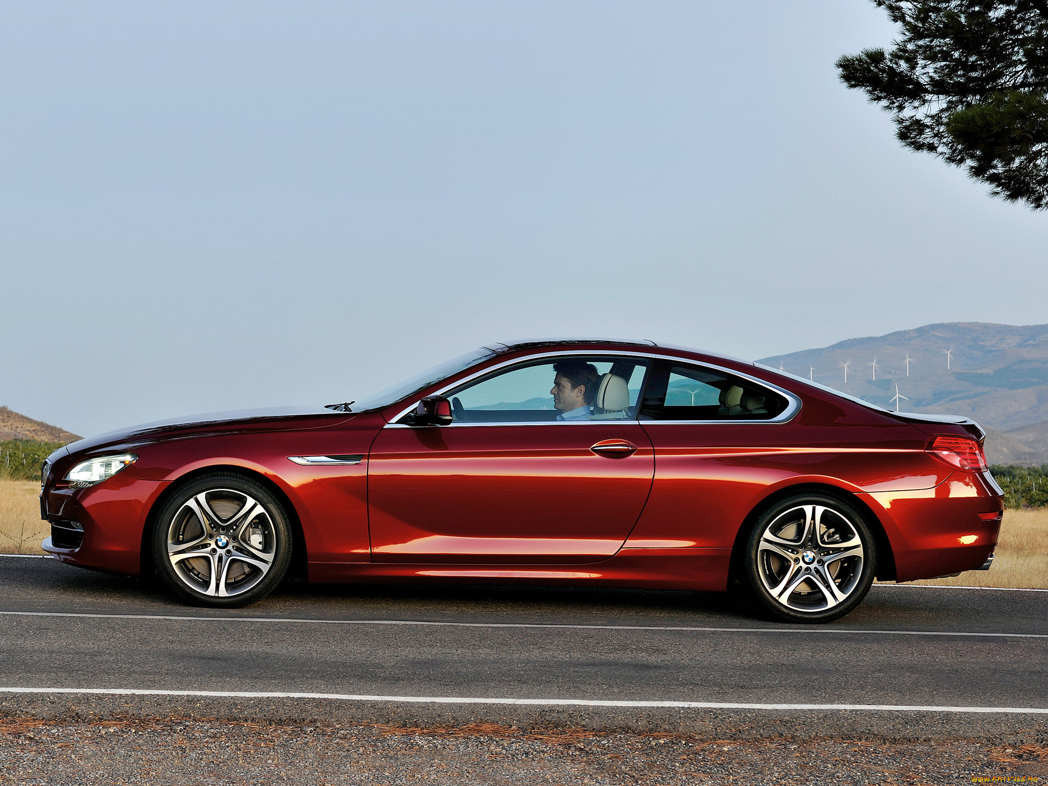 , bmw, coupe